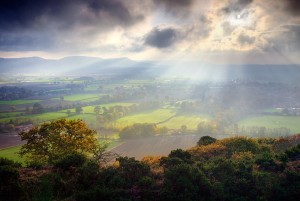 Crepuscular Rays