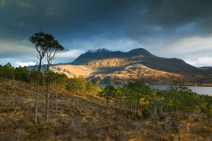 Slioch & Scots Pine
