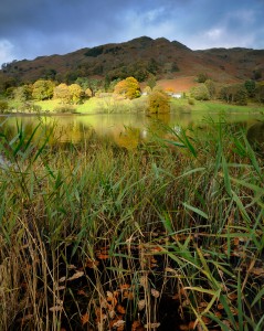 Loughrigg Tarn, Autumn