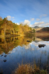 Reflections, Blea Tarn